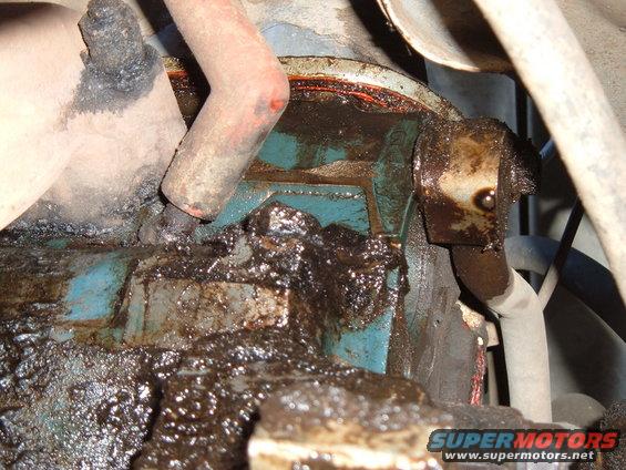 Close-up of a greasy, blue engine part with a red gasket and a hose
