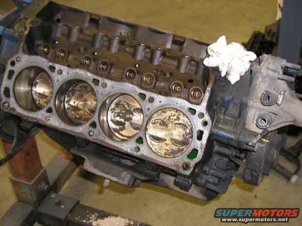 stroker1.jpg 
