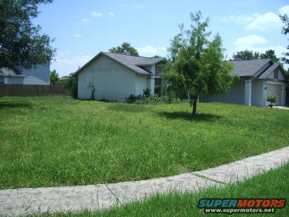 Overgrown lawn in front of suburban houses