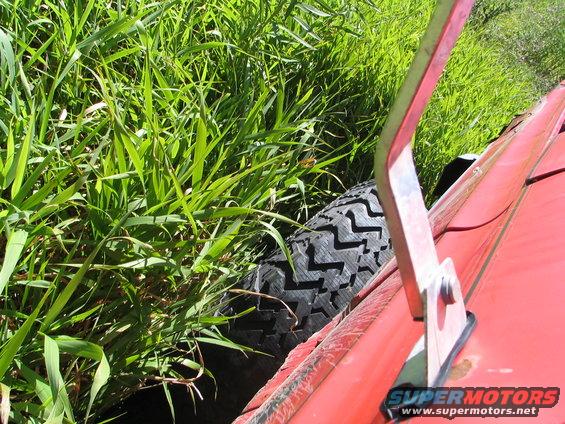 Red vehicle side with spare tire visible next to tall grass