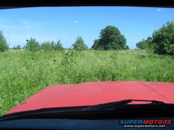 View from inside a red vehicle looking over the hood at a field of tall grass and trees under a blue sky. "SUPERMOTORS www.supermotors.net" text is visible at the bottom right