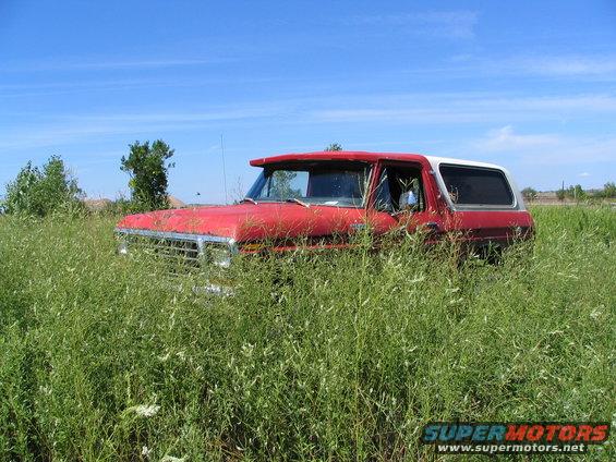 Red and white 1978 Ford Bronco with a sun visor, partially obscured by tall green grass