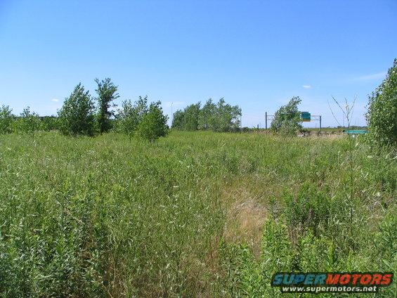Overgrown field with highway overpass and signs in the distance