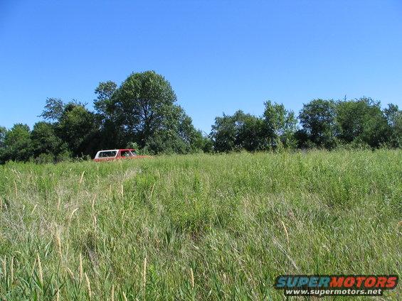 1978 Ford Bronco parked in tall grass with trees in background