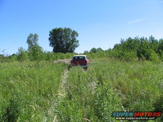 Red and white 1978 Ford Bronco rear view driving through tall grass