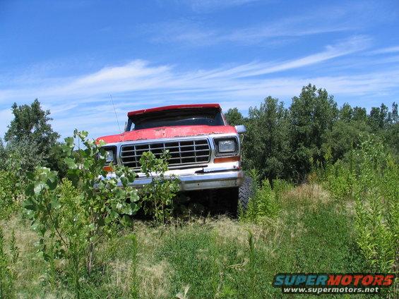 almost-there.jpg yeah i drove over those sapplings