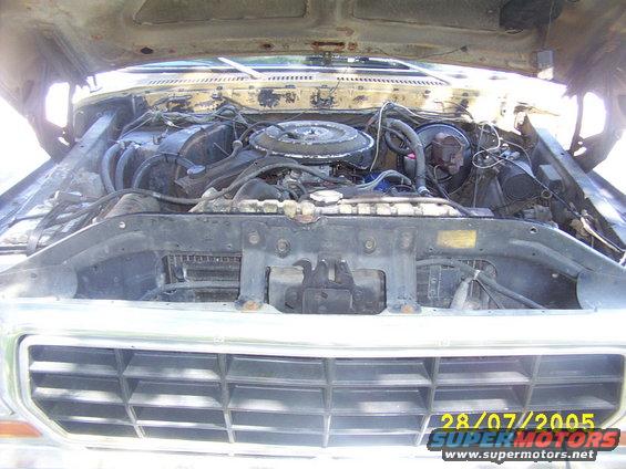 Engine Bay again