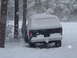 1979 Ford Bronco photo