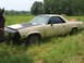 1966 Ford Ranchero - A horse stands next to a weathered pickup truck parked in a field of tall grass.