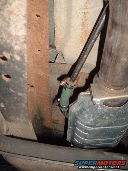 rigged air tube to cat