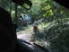 1988 Ford Bronco - A 1988 Ford Bronco is parked on a wooded trail, with a person squatting in front of it.