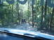 1988 Ford Bronco - An off-road vehicle navigates a rocky path through a dense forest.
