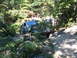 1988 Ford Bronco - Green Ford Bronco navigating an off-road trail through a wooded area.