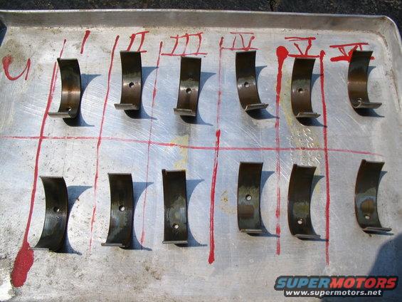 img_0984.jpg bearings (all)