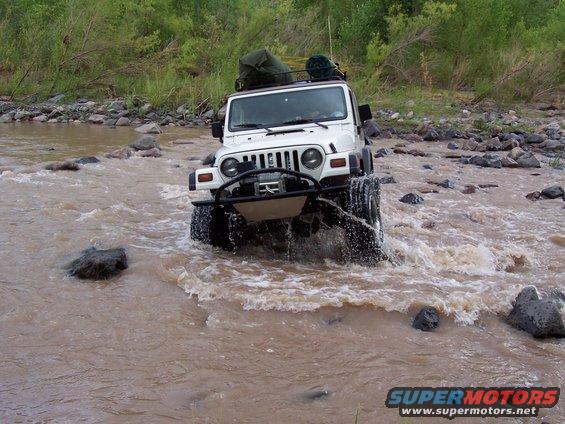 100_0999.jpg Skinny pedal will get him through!