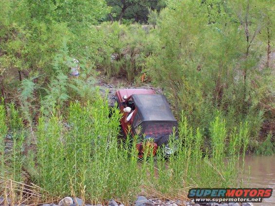 100_1016.jpg Zuki climbing out