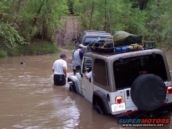 100_1037.jpg Hooking him up to Willy...  :)