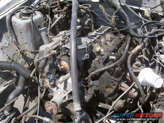 Engine bay with visible engine components, hoses, and wiring