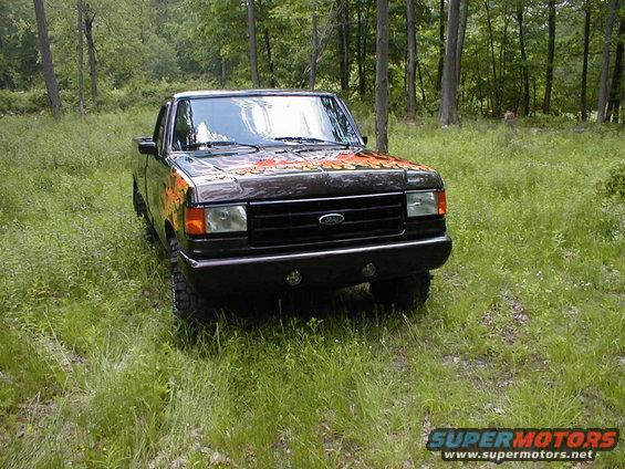 Black Ford F-150 truck with custom hood graphics, parked in grassy woods