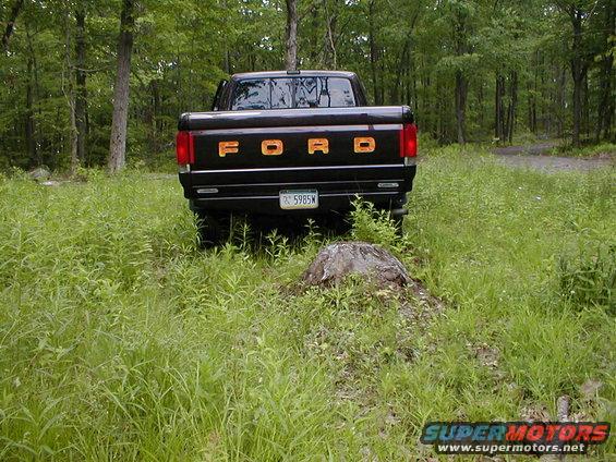1991 Ford F-150 rear view in grassy area