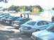 1995 Ford Taurus - A row of sedans are parked near a lake, with people visible in the distance.