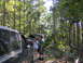 1978 Ford Bronco - A group of people stand near several vehicles in a wooded area.