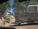 1978 Ford Bronco - Two SUVs navigate a rocky trail on a sunny day, with one vehicle partially obscured by foliage.