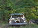 1978 Ford Bronco - This heavily damaged and overgrown vehicle appears to be a sedan, not a 1978 Ford Bronco.