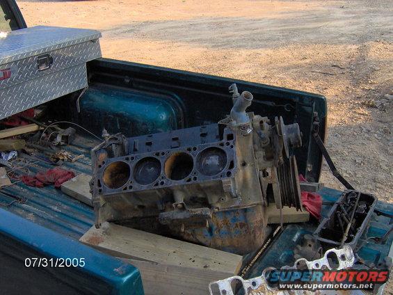 im000122.jpg donor motor