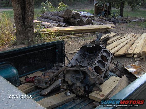 im000123.jpg donor motor(b)
