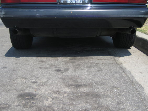 Rear bumper and dual exhaust pipes of a car. License plate reads 'TEAMSTERS'