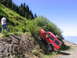 2000 Jeep Cherokee - A red Jeep Cherokee is precariously positioned on a steep, overgrown hillside.