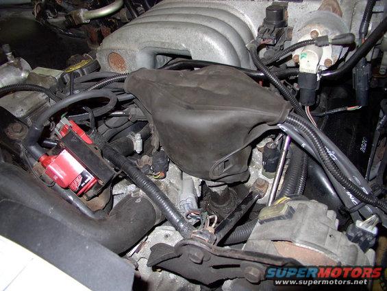 img_0140.jpg Even put the distributor weather condom back on for that stock look. Might have to spray that MSD coil black to really achieve that, though the black plug wires don't draw attention IMO.