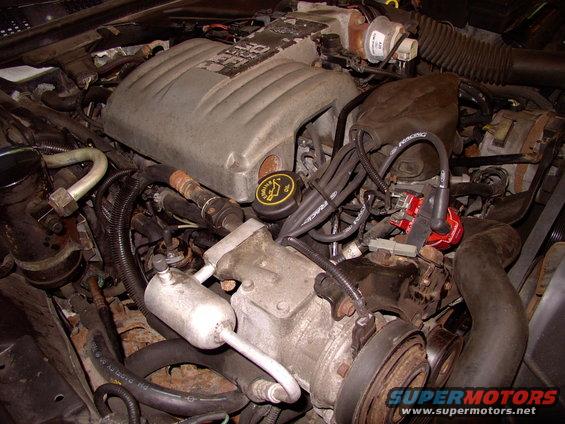 There's that beautiful, though very conspicuous, MSD coil up front and proud of it. Maybe a give it a shot of black paint to conceal it's identity ?