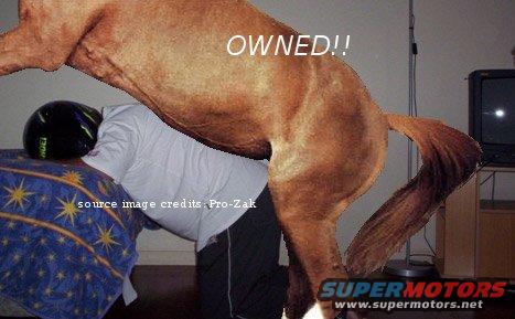 Horse over person with text 'OWNED!!' and 'source image credits: Pro-Zak'. Supermotors.net logo at bottom right