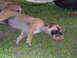 Dscf0467.jpg