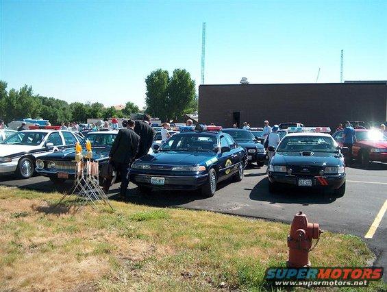 Several police cars parked in a lot, some with lights on. People are standing around them