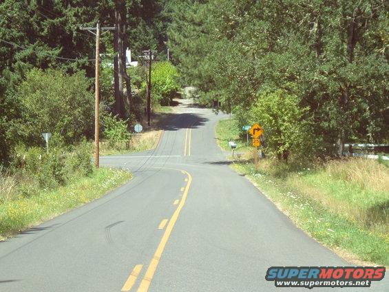 Winding asphalt road with yellow double lines, bordered by trees and grass