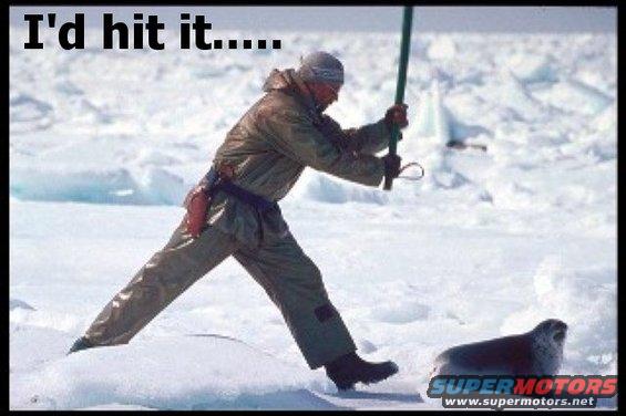 Man in parka with ice axe lunging at a seal on an ice floe, text 'I'd hit it.....' above