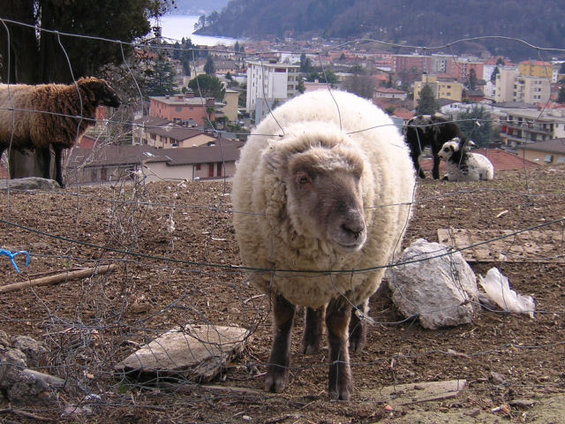 someones-girlfriend.jpg Someones girlfriend?