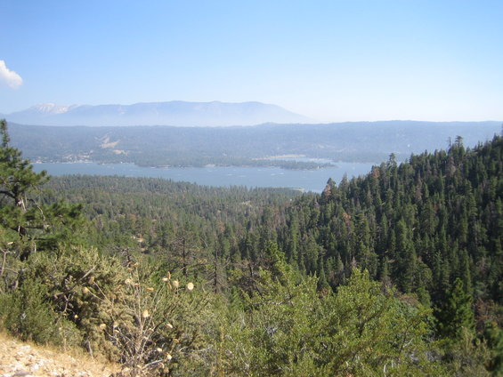 Mountain landscape with a lake surrounded by pine forests under a clear blue sky