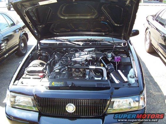 100_2390.jpg Drooling on the MM engine compartment.