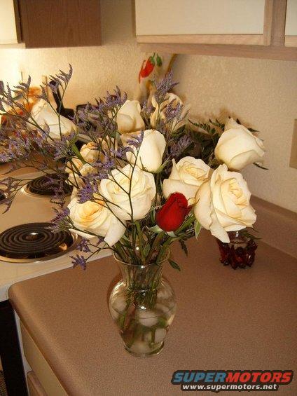 white roses