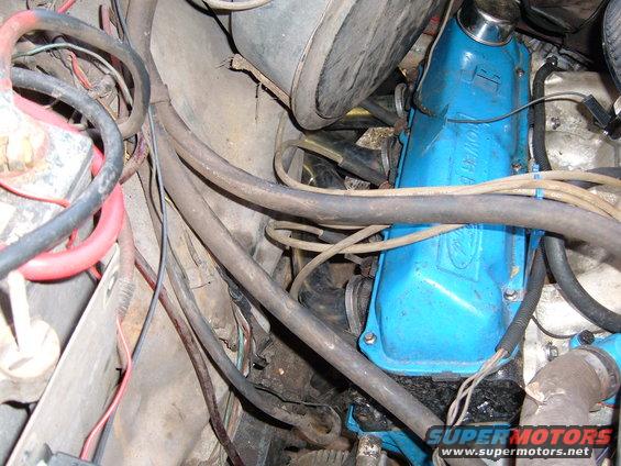 Close-up of engine bay showing blue valve covers with Ford logo and 'POWERED BY' text, surrounded by hoses and wiring