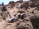 1989 Ford Bronco - Off-road vehicle navigates challenging rocky terrain during an outing.