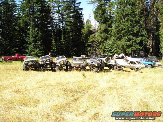 Several modified off-road trucks and SUVs parked in a grassy field with trees in the background