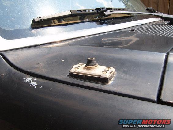 antenna mount on black hood, windshield wiper visible