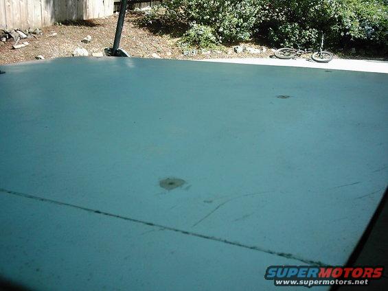 picture-394.jpg 