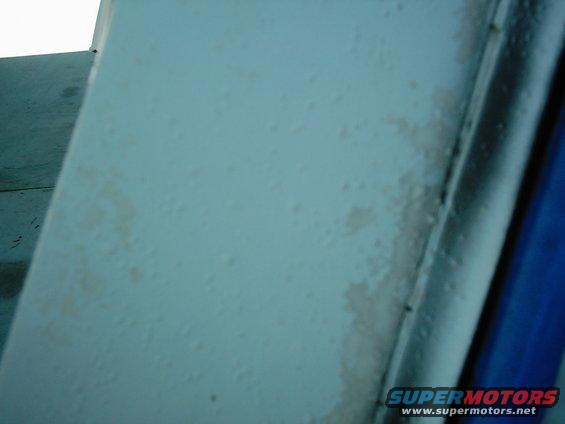 picture-395.jpg 