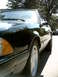 1989 Ford Mustang - Tomorrow's "'66 Coupe"